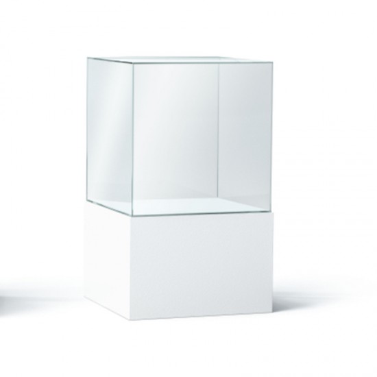 Plexiglas vitrine display